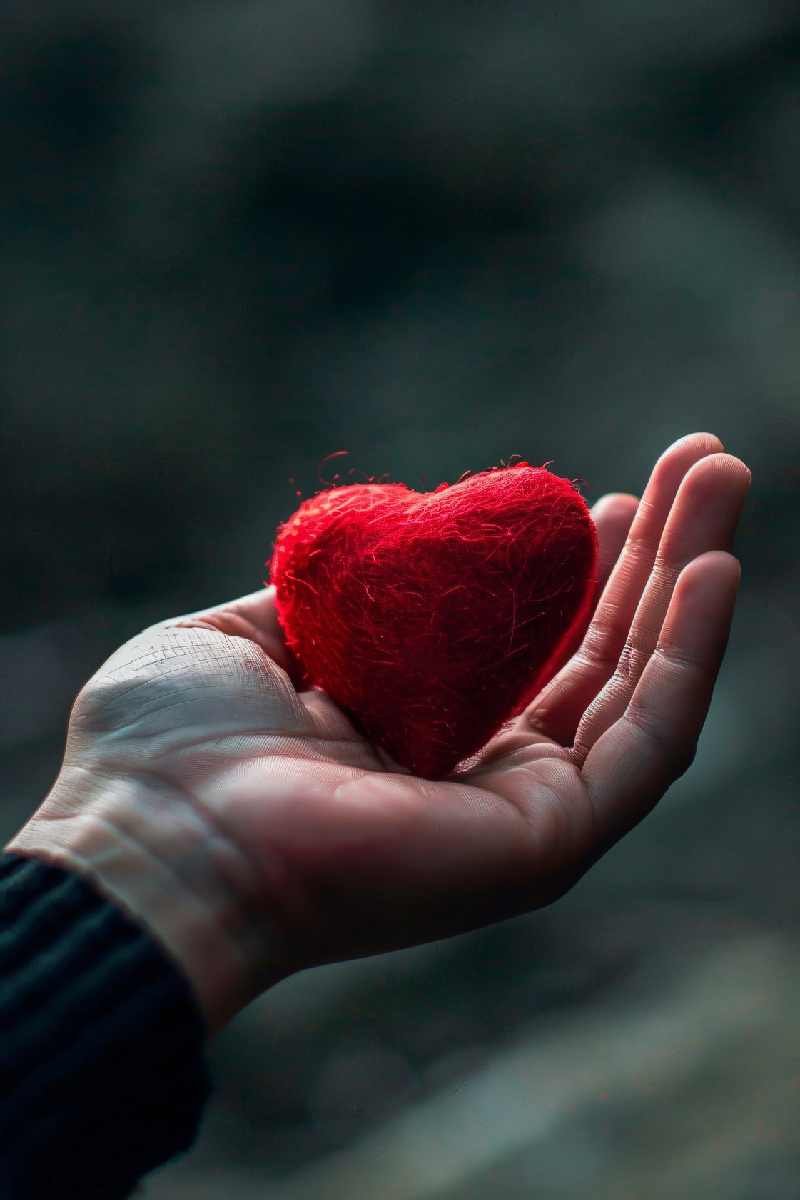 View of hand holding red heart